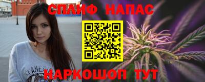 прущие грибы Будённовск