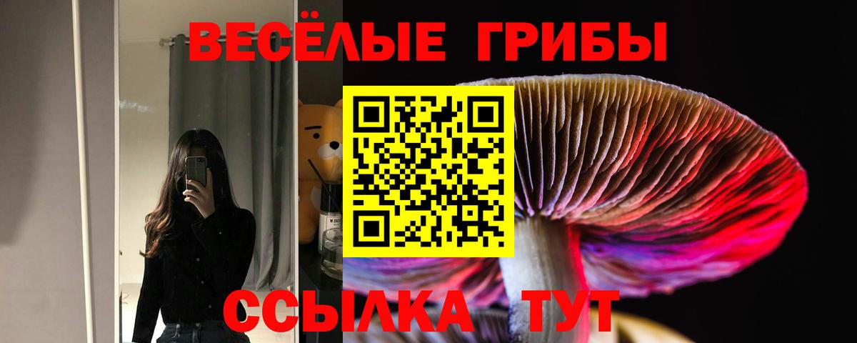 Псилоцибиновые грибы Cubensis  Вход с VPN  Канск 