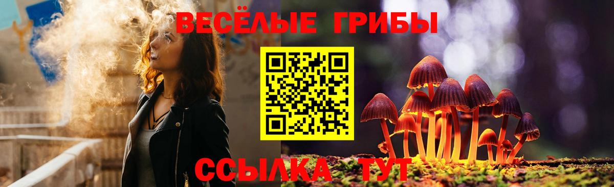 Галлюциногенные грибы MAGIC MUSHROOMS Канск
